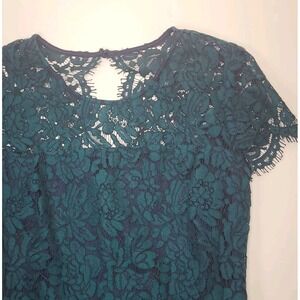 Banana Republic Dress Size 4 Emerald Green Lace Lined Career Party Zip Back